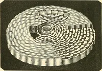An illustration from The microscope and its revelations (1856)