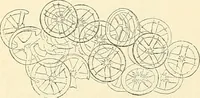 An illustration from The microscope and its revelations (1856)