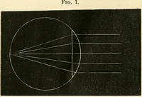 An illustration from The microscope and its revelations (1856)