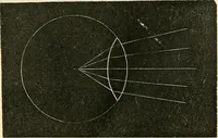 An illustration from The microscope and its revelations (1856)