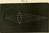 An illustration from The microscope and its revelations (1856)