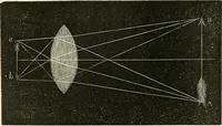An illustration from The microscope and its revelations (1856)