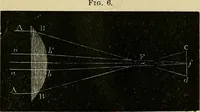 An illustration from The microscope and its revelations (1856)