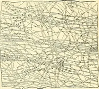 An illustration from The microscope and its revelations (1856)