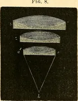 An illustration from The microscope and its revelations (1856)