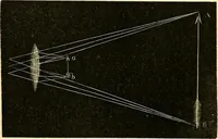 An illustration from The microscope and its revelations (1856)