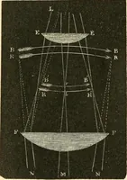 An illustration from The microscope and its revelations (1856)