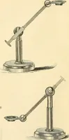 An illustration from The microscope and its revelations (1856)