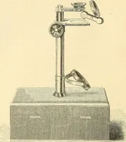 An illustration from The microscope and its revelations (1856)