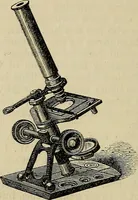 An illustration from The microscope and its revelations (1881)