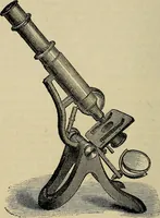 An illustration from The microscope and its revelations (1881)