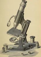 An illustration from The microscope and its revelations (1881)