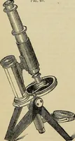 An illustration from The microscope and its revelations (1881)