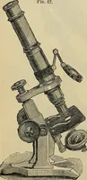 An illustration from The microscope and its revelations (1881)