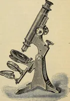 An illustration from The microscope and its revelations (1881)