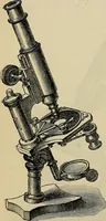 An illustration from The microscope and its revelations (1881)