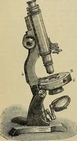 An illustration from The microscope and its revelations (1881)