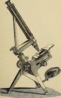 An illustration from The microscope and its revelations (1881)