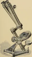 An illustration from The microscope and its revelations (1881)