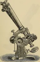 An illustration from The microscope and its revelations (1881)