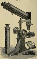 An illustration from The microscope and its revelations (1881)
