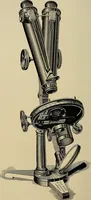An illustration from The microscope and its revelations (1881)