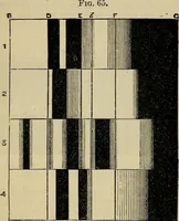 An illustration from The microscope and its revelations (1881)