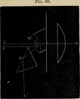 An illustration from The microscope and its revelations (1881)