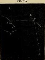 Picture 75 of 554 from The microscope and its revelations (1881), leaf 169