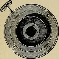 An illustration from The microscope and its revelations (1881)