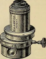 An illustration from The microscope and its revelations (1881)