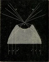 Picture 83 of 554 from The microscope and its revelations (1881), leaf 181