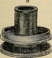 An illustration from The microscope and its revelations (1881)