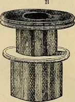 An illustration from The microscope and its revelations (1881)