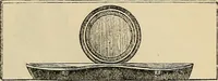 An illustration from The microscope and its revelations (1881)