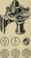 An illustration from The microscope and its revelations (1881)