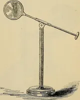 An illustration from The microscope and its revelations (1881)
