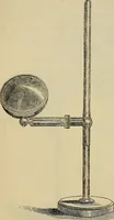 An illustration from The microscope and its revelations (1881)