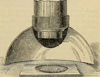An illustration from The microscope and its revelations (1881)