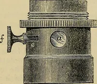 An illustration from The microscope and its revelations (1881)