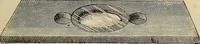 An illustration from The microscope and its revelations (1881)