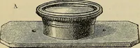 An illustration from The microscope and its revelations (1881)