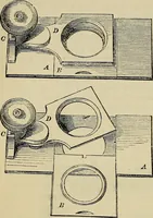 An illustration from The microscope and its revelations (1881)
