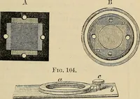 An illustration from The microscope and its revelations (1881)