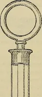 An illustration from The microscope and its revelations (1881)