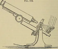 An illustration from The microscope and its revelations (1881)