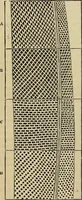 An illustration from The microscope and its revelations (1881)