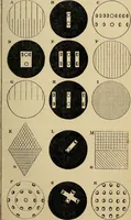An illustration from The microscope and its revelations (1881)