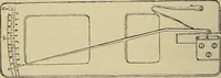 An illustration from The microscope and its revelations (1881)