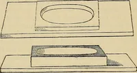An illustration from The microscope and its revelations (1881)